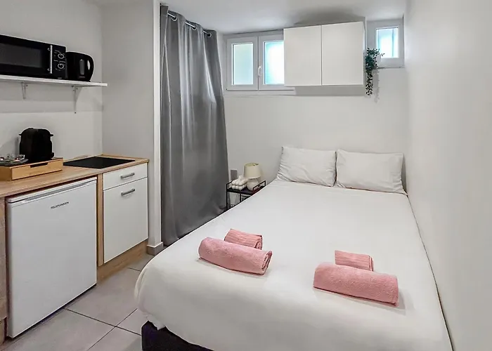 Studio Lumineux Et Moderne A Nice, Bien Situe